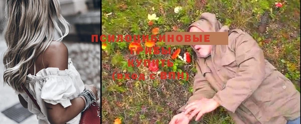 марки nbome Алексеевка