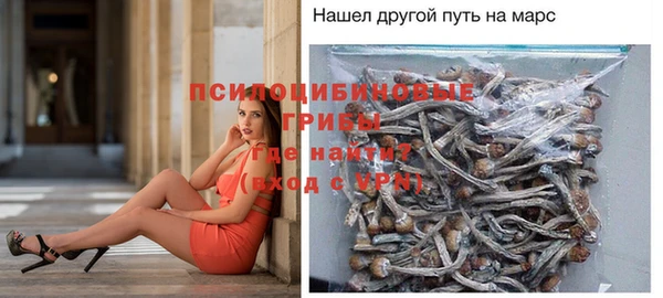 прущая мука Алзамай
